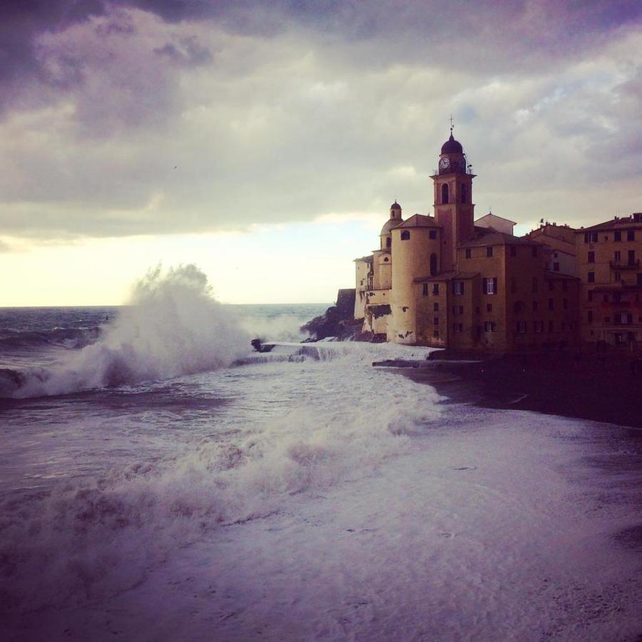La Casa Della Fiore Camogli Buitenkant foto