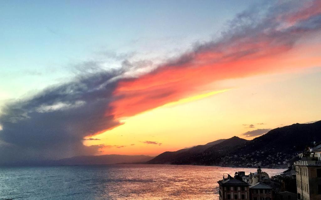 La Casa Della Fiore Camogli Buitenkant foto